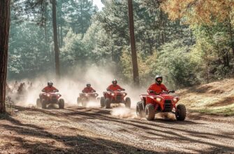 Как выбрать шины для квадроцикла