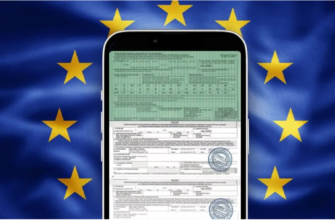 Чи очікується збільшення вартості страховки Зелена Карта у 2025 році: прогноз ринку