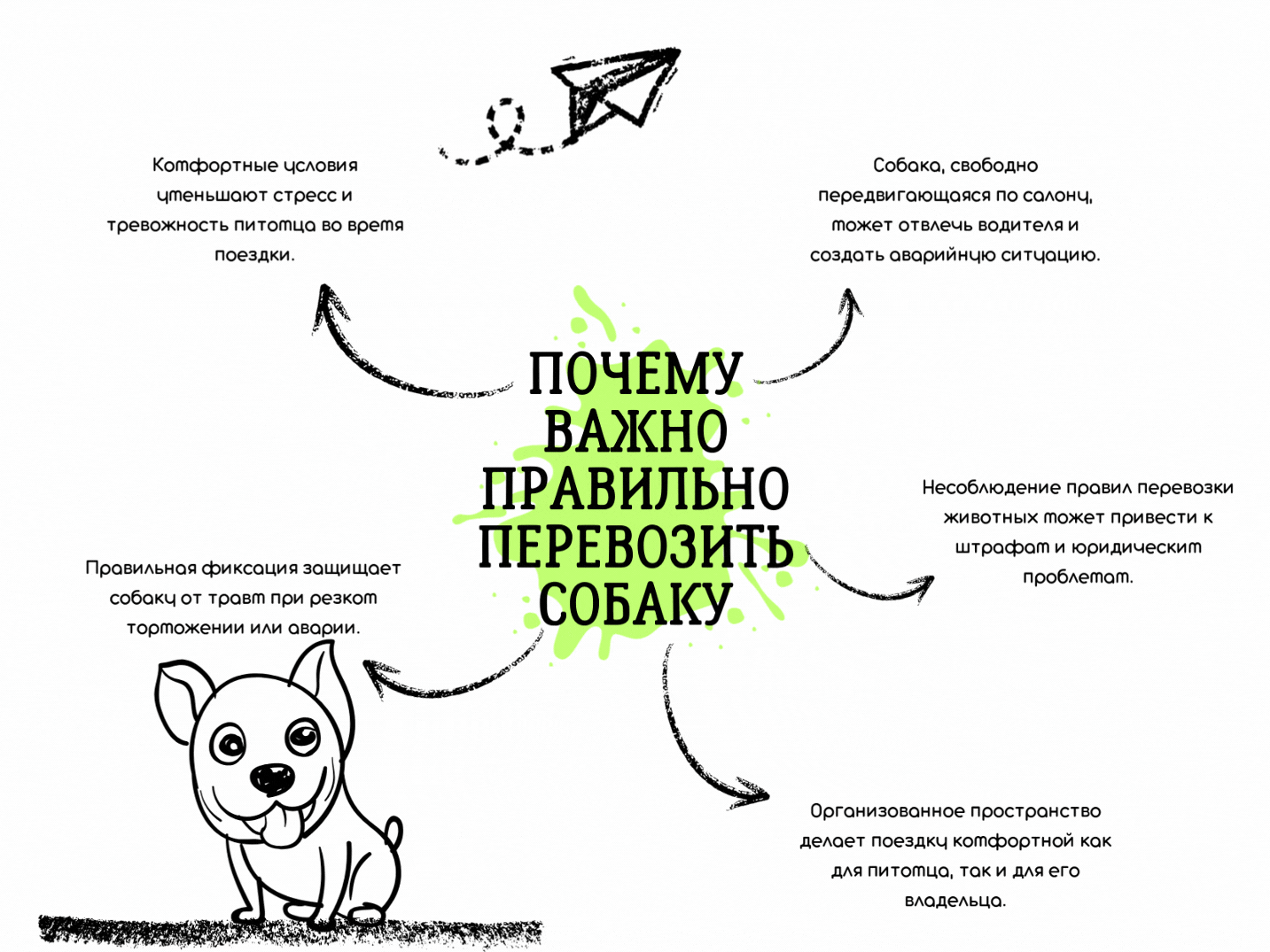 Как правильно перевозить собаку в автомобиле