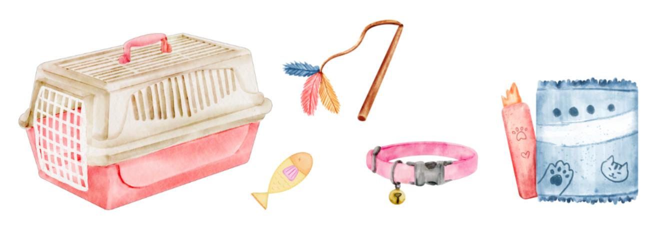 Что взять с собой в поездку