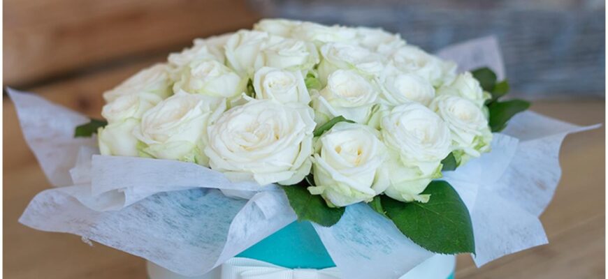 Значение цвета роз - какой цвет роз к чему?